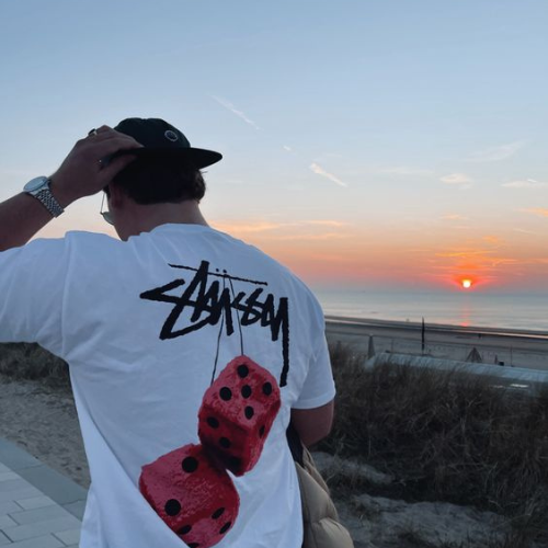 Camiseta Stussy Dados